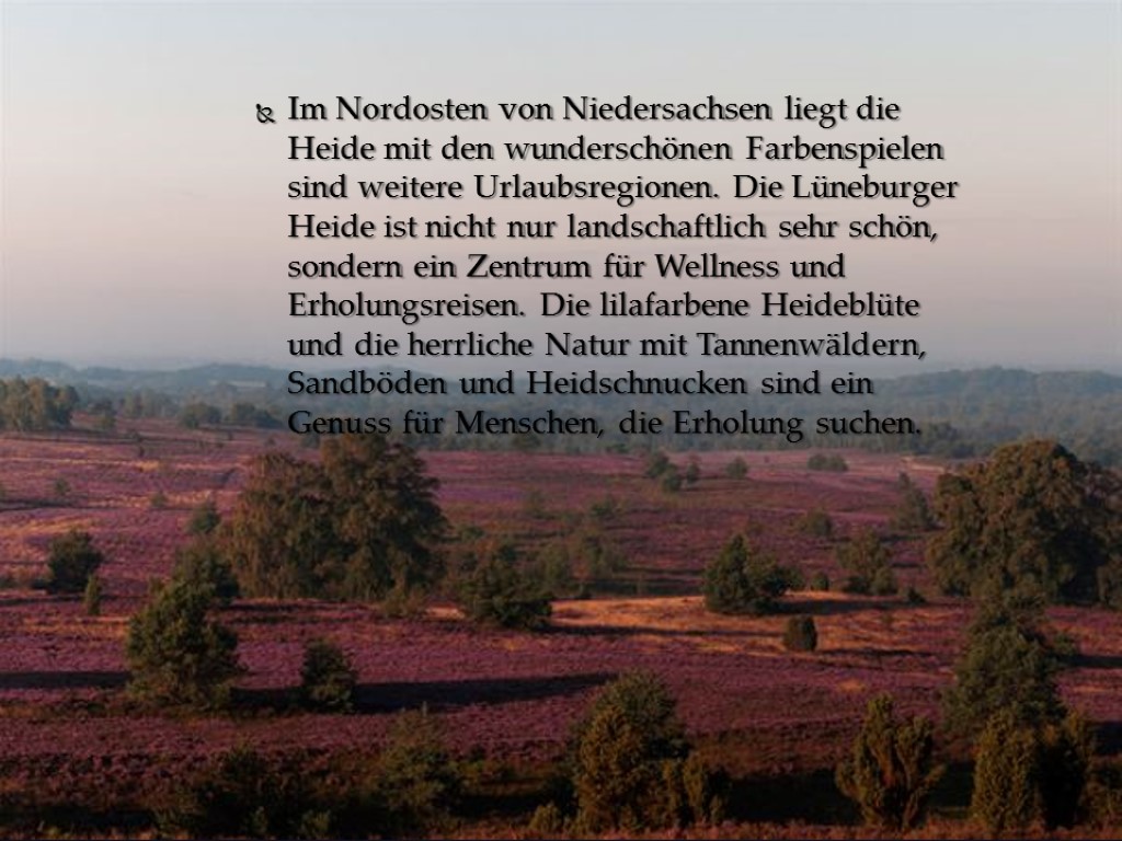 Im Nordosten von Niedersachsen liegt die Heide mit den wunderschönen Farbenspielen sind weitere Urlaubsregionen.